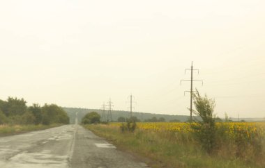 Kırsal kesimdeki yol..