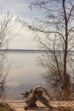 Park sonbaharda güzel göl