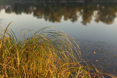 Gölün güzelliği.