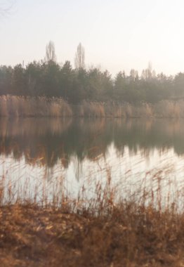 Ormanda güzel bir gün batımı