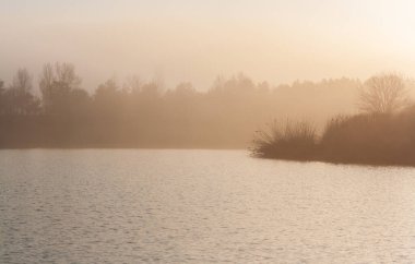 Gölü ve ağaçları olan güzel bir manzara..