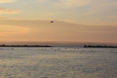 Gün batımının altında denizle çevrili güzel bir göl manzarası.