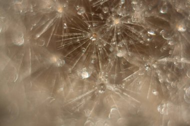 Işık arkaplan ile soyut bokeh, çözülmüş bokeh