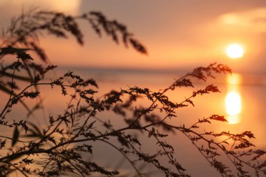 Okyanusun üzerinde gün batımı
