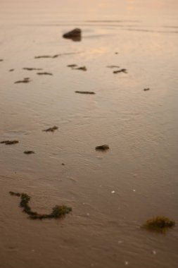 Okyanusun üzerinde gün batımı