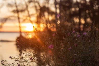Avustralya 'daki gölde gün batımı
