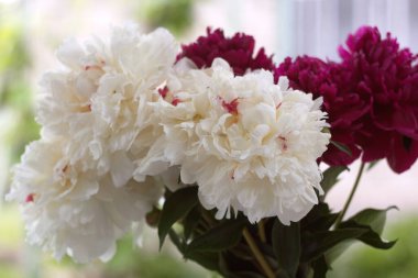 Pencerenin arkasında güzel bir buket beyaz çiçek var..