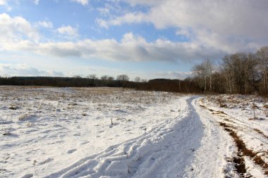 Ormanda yolu olan kış manzarası