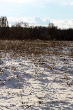 Kışın kuru çimen tarlası..