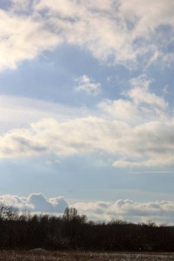 Kış manzarası. karla kaplı alan.