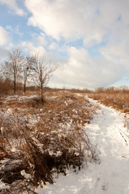Tarlada yolu olan bir kış manzarası.