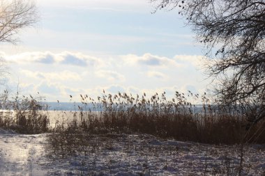 Önünde kar ve ağaçlar olan kış manzarası