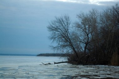 Ağaçlı Donmuş Göl