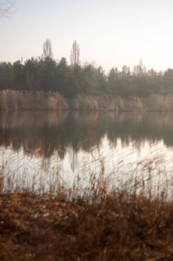 Sabahları nehir olan güzel bir manzara.
