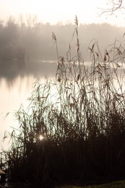 Günbatımında göl, sonbahar zamanı, doğa manzarası, sonbahar