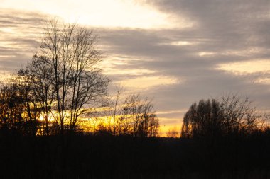 bir kış ormanda günbatımı