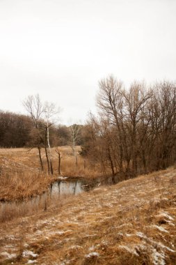 Ağaçlar ve karla kaplı kış manzarası