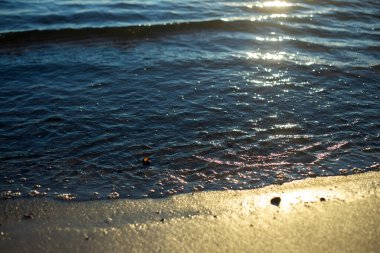 Güzel deniz dalgaları ve kumsalda kum.