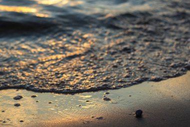 Kumlu bir sahilde deniz dalgaları. gün batımı arkaplanı