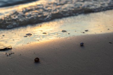 Sahilde deniz dalgaları ve taşlar