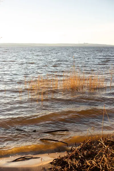 Baharda Baltık Denizi kıyısında.