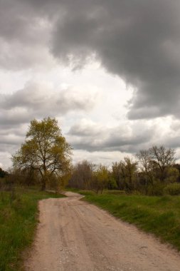 Bulutlu bir günde, ormanın ortasında bir yol.
