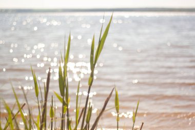 Güneş gölden geliyor.