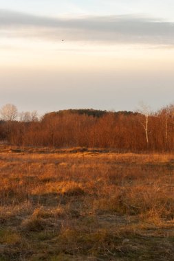 Ağaç sırasının en alta düşmesi..