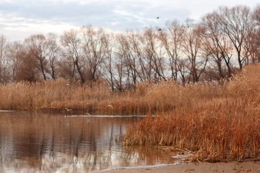 Arkasında bir göl olan güzel bir manzara..