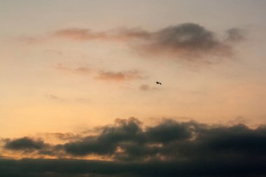 Denizin üzerindeki güzel gün batımı