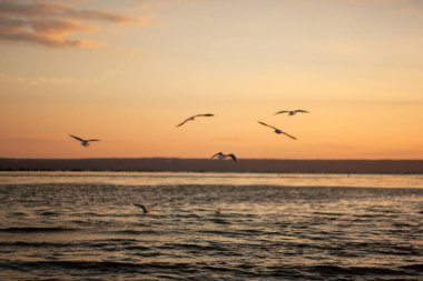 Denizin üzerindeki güzel gün batımı