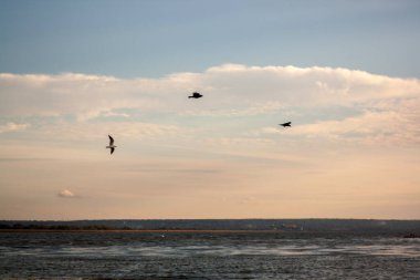 Altın sonbahar günbatımını yansıtır nehirde huzur