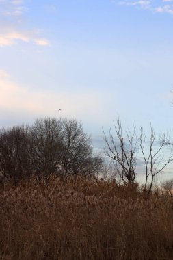 Doğanın güzel manzarası