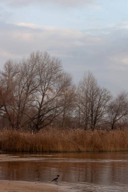 Denizin üzerindeki güzel gün batımı