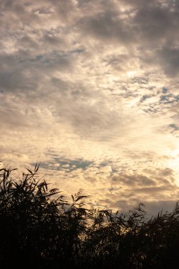 Bulutlu güzel gökyüzü