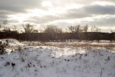 Ağaçlı kış manzarası