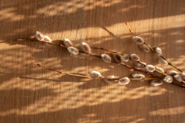 Söğüt ağacının kuru dalları ve bej bir masanın üzerinde gölgesi var.