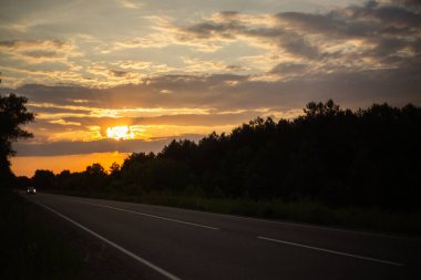 Ağaçların arasından yol