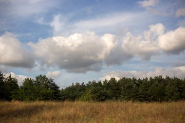 beautiful summer landscape with a cloudy sky.