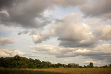 Doğanın güzel manzarası