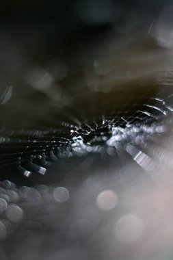 Su damlaları ve ışıkları olan güzel soyut desen.