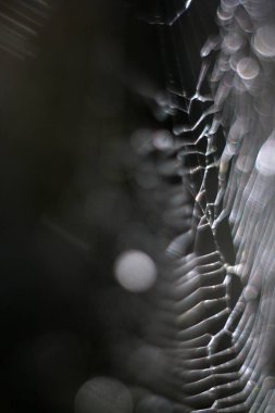 Kırık cama yakın çekim. makro çekim.