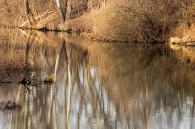 Nehirli güzel sonbahar manzarası