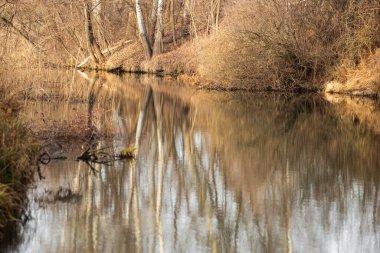 Nehrin güzel manzarası