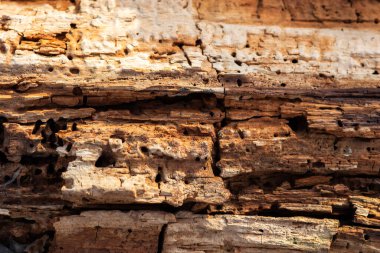 Bir sürü farklı rengi olan eski ahşap duvar.
