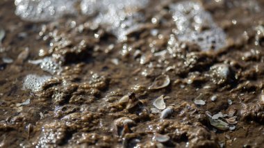 Sahilde su damlaları