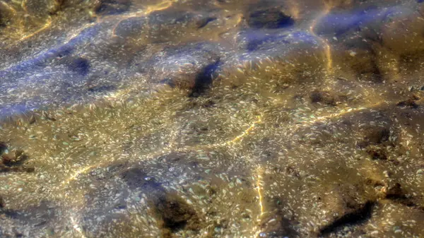 Kabarcıklı suyun soyut yüzey arkaplanı