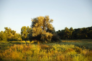 Altın Gün batımı Göle Yansıtılıyor