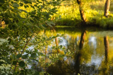 Altın Gün batımı Göle Yansıtılıyor
