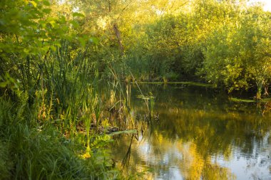 Altın Gün batımı Göle Yansıtılıyor